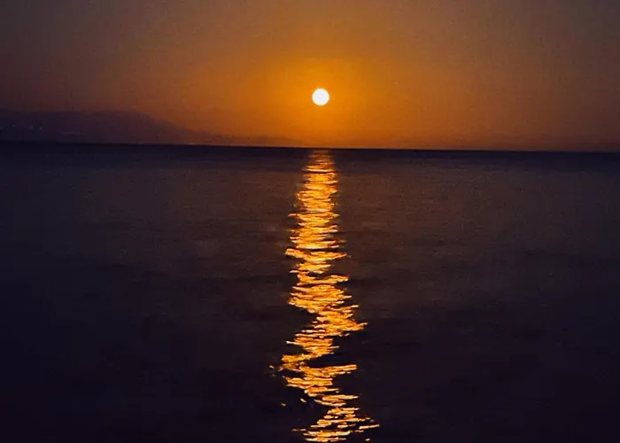 The Artist's Farm * Dhiyellótika