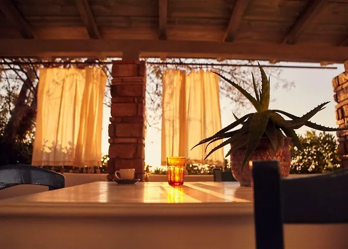 The Artist's Farm Dhiyellótika